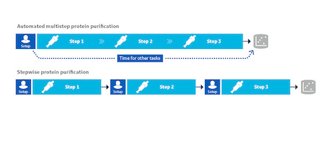 automated multistep protein purification