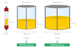 chromatography scale up