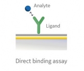 direct binding assay