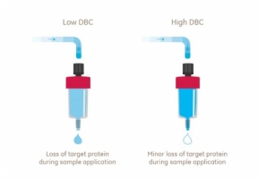 dynamic binding capacity