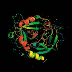 bioanalytical methods